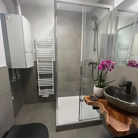 아파트 Black Forest Mit Kostenlosem Parkplatz